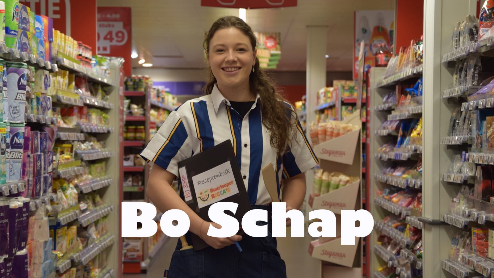 Website Bo Schap